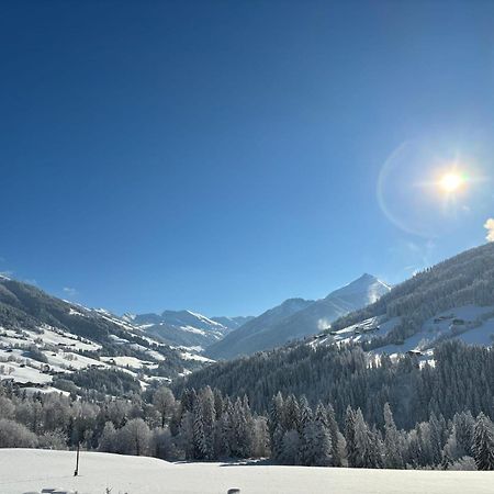 Haus Schmetterling Διαμέρισμα Alpbach Εξωτερικό φωτογραφία