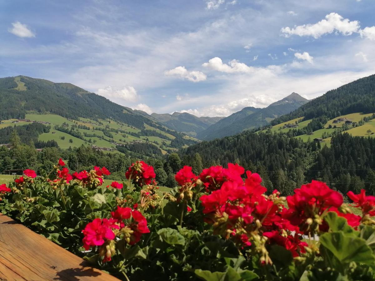 Haus Schmetterling Διαμέρισμα Alpbach Εξωτερικό φωτογραφία