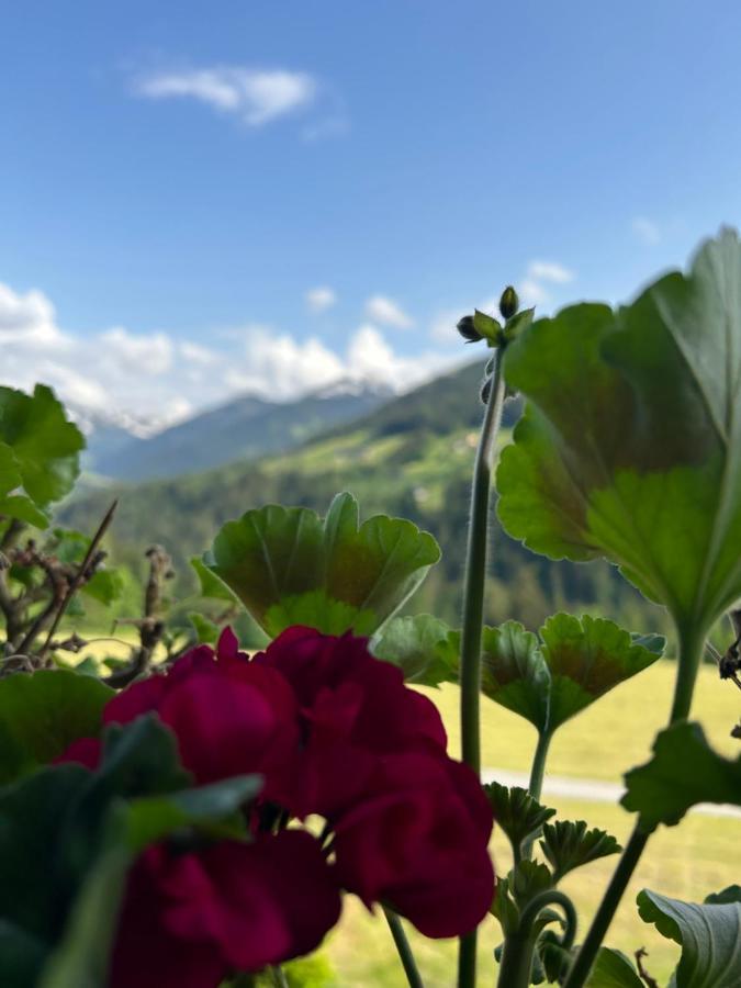 Haus Schmetterling Διαμέρισμα Alpbach Εξωτερικό φωτογραφία