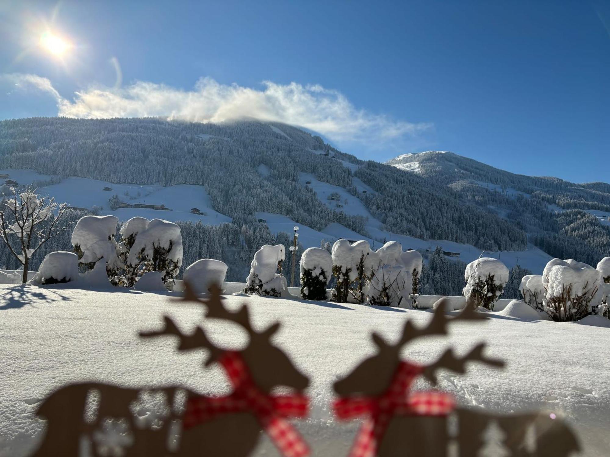 Haus Schmetterling Διαμέρισμα Alpbach Εξωτερικό φωτογραφία