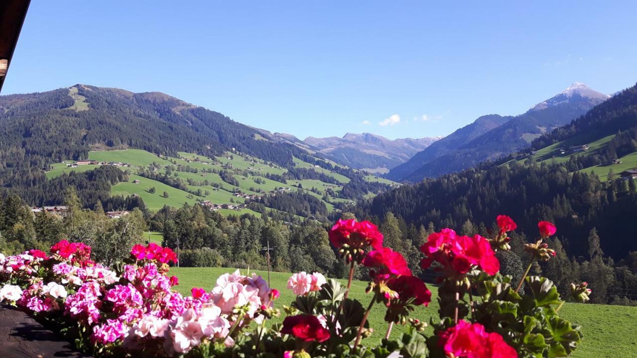 Haus Schmetterling Διαμέρισμα Alpbach Εξωτερικό φωτογραφία