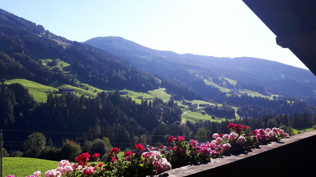 Haus Schmetterling Διαμέρισμα Alpbach Εξωτερικό φωτογραφία