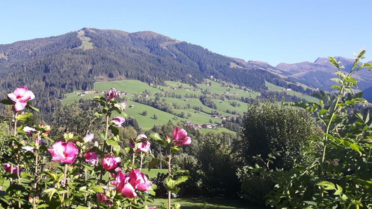 Haus Schmetterling Διαμέρισμα Alpbach Εξωτερικό φωτογραφία